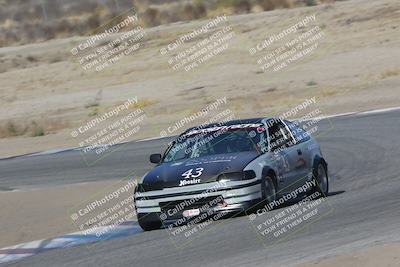 media/Nov-04-2023-CalClub SCCA (Sat) [[cb7353a443]]/Group 2/Cotton Corners (Race)/